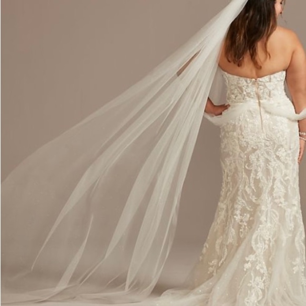 Brand new, never worn glitter cathedral veil